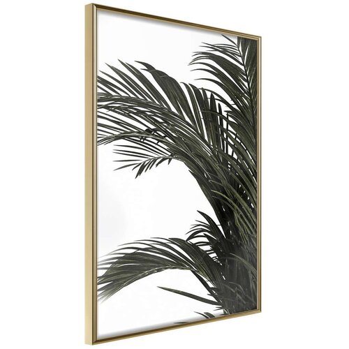  Poster - Jungle Scent 30x45 Slike