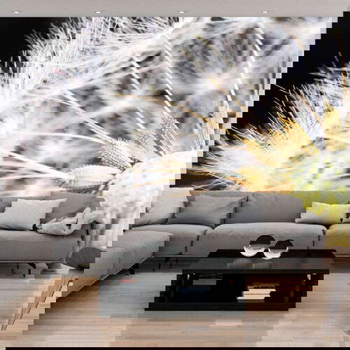  Tapeta - Fluffy dandelion 300x210 Cijene