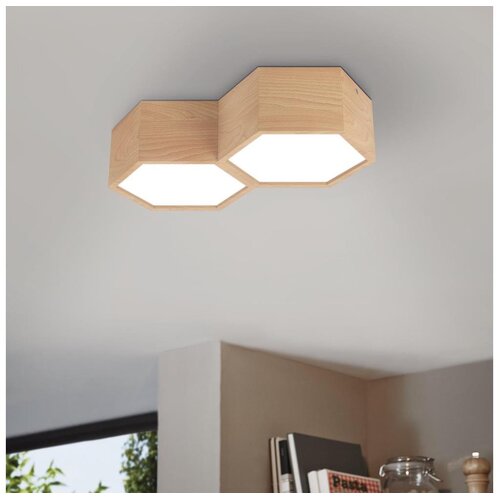 Eglo 98861 - plafonsko svetlo mirlas 2xE27/9W/230V Cene