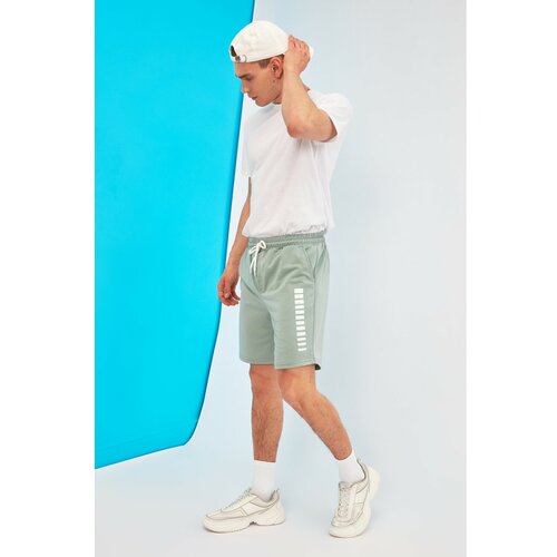Trendyol Mint Men's Regular Fit Shorts & Bermuda Slike