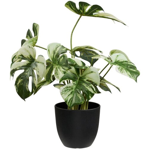 House Nordic Umjetna biljka (visina 41 cm) Monstera &amp;ndash; Slike