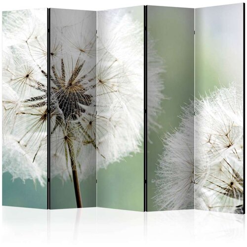  Paravan u 5 dijelova - Two dandelions II [Room Dividers] 225x172 Slike