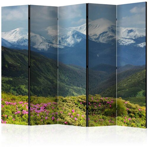  Paravan u 5 dijelova - Spring mountain landscape II [Room Dividers] 225x172 Slike