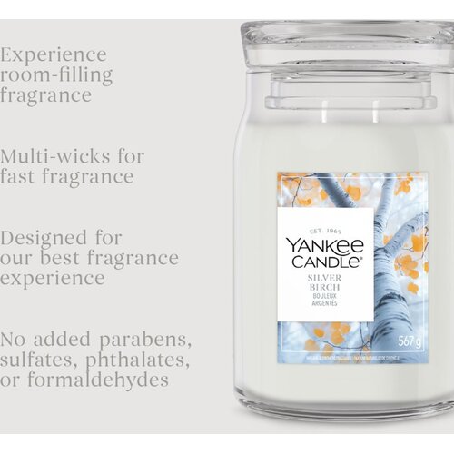 Yankee Candle Silver Birch mirisna svijeća 567 g Slike