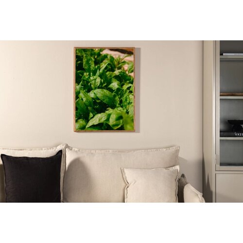 Venture Home poster Green Leaf 70 &amp;times; 100 cm, zeleni Slike
