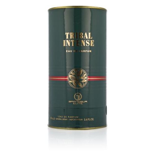Grandeur Tribal Intense 100 ml parfemska voda za mu&amp;scaron;karce Slike