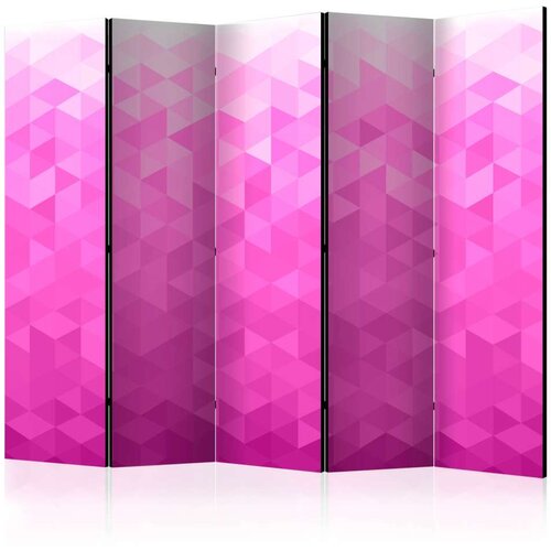  Paravan u 5 dijelova - PInk pixel II [Room Dividers] 225x172 Slike