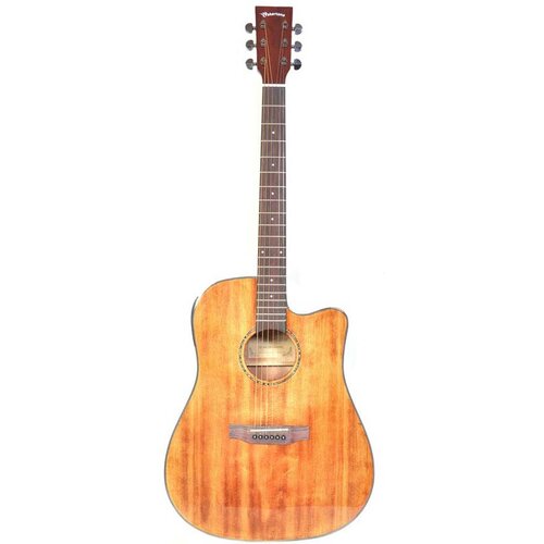 Wakertone Akustična gitara CD60C-BRW Cene