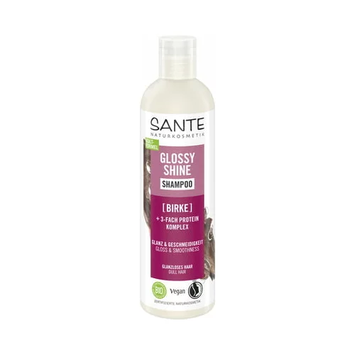 Sante Glossy Shine Shampoo - 250 ml
