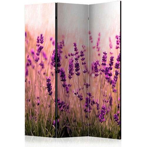 Artgeist PARAVAN 135/172/3 cm vijolična, svetlo zelena, biserna Cene