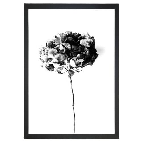 Tablo Center Slika Velvet Flower, 24 x 29 cm Slike