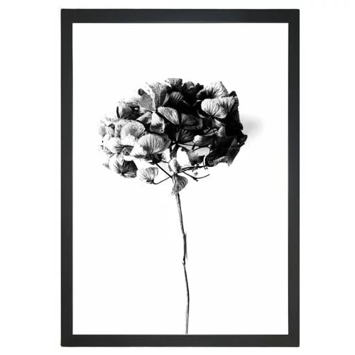 Tablo Center slika Velvet Flower, 24 x 29 cm
