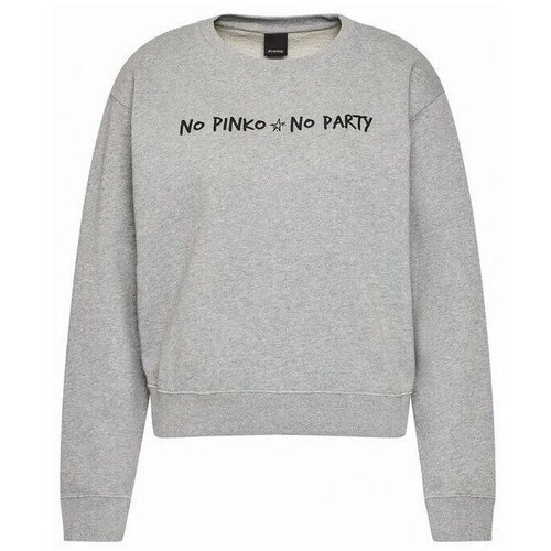 Pinko Puloverji 1N1343Y7ED Siva Cene