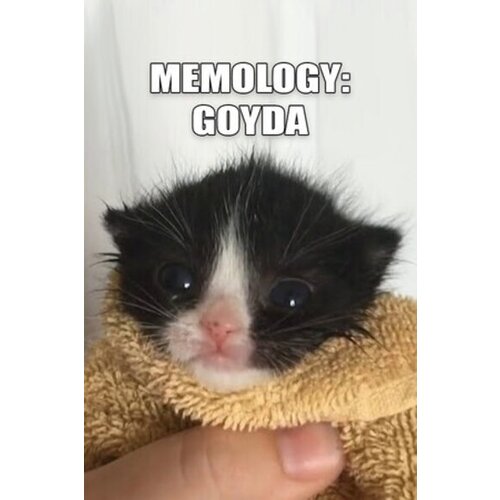  memology: goyda (pc) steam key global Cene