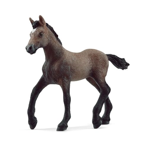  Figura Peruvian Paso ždrebe Cene