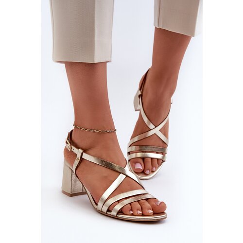 Maciejka Suede Sandals With Low Heel Cene
