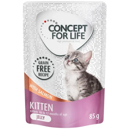 Concept for Life Kitten losos v želeju brez žitaric - 48 x 85 g