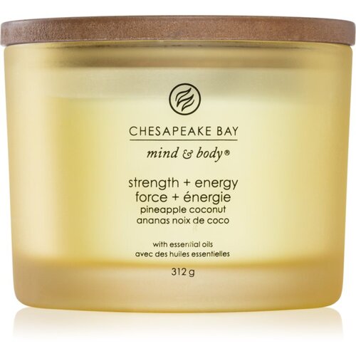 Chesapeake Bay Candle Mind & Body Strength & Energy mirisna svijeća I. 312 g Cene