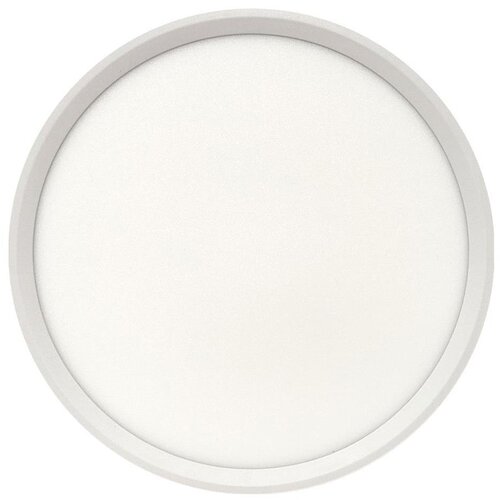  LED plafonsko svetlo LED/24W/230V 3000/4000/6500K prečnika 30 cm, belo Cene