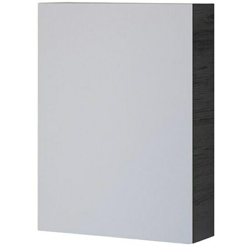 Ormarić s ogledalom Svanholm (Š x V: 50 x 65 cm, Crna) Cijene
