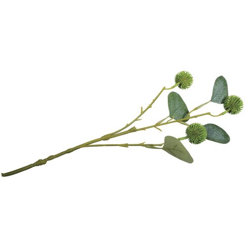 RAYHER Vejica Eukaliptus s sadeži, 40cm, (20634023) Cene