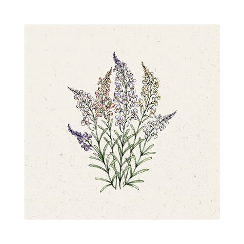 Jora Dahl Madronščica "Fairy Lights" Cene
