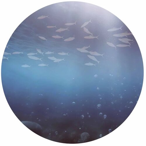  Okrugla fototapeta - Fish in the depths 230x230 Slike