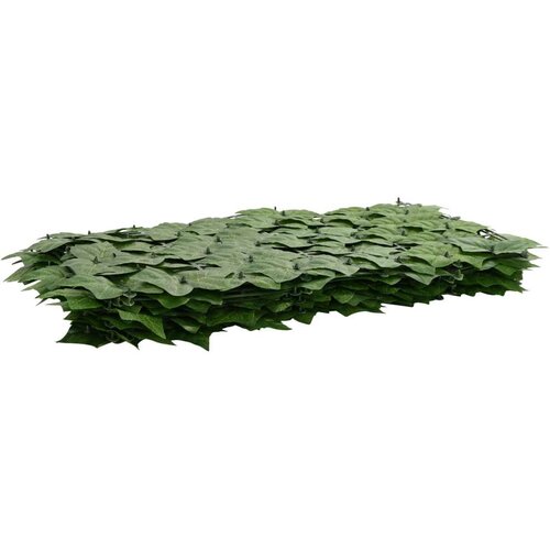  Zaslon za balkon s li&scaron;ćem Zelena 600 x 75 cm - Zelena 600 x 75 cm s listovima grožđa Cijene