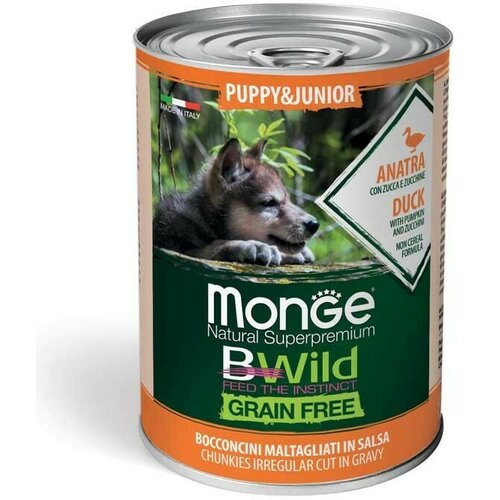 Monge Bwild konzerva za pse - PUPPY & JUNIOR - pačetina 16x400gr Slike
