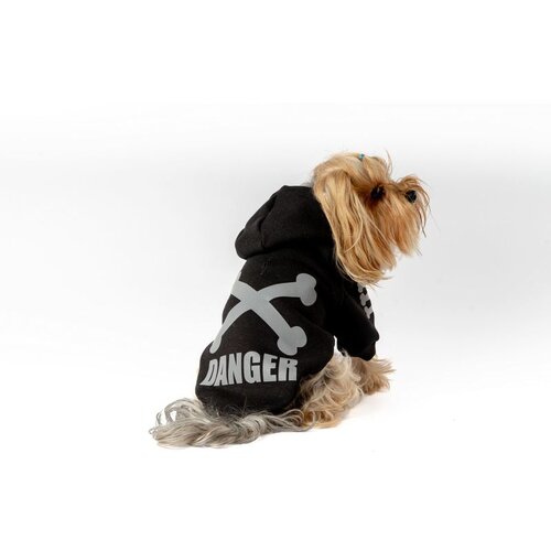 Paws & Whiskers Danger Hoodie - Crna Dukserica sa Crnim Psom Cene