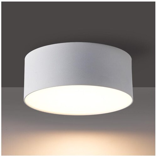 Brilagi - LED kupatilsko plafonsko svetlo FORIS LED/20W/230V, prečnik 15 cm, belo, IP44 Cene