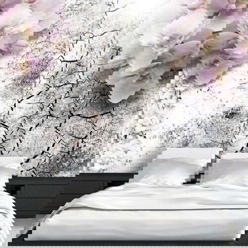  Tapeta - Bright red orchids 250x175 Cijene
