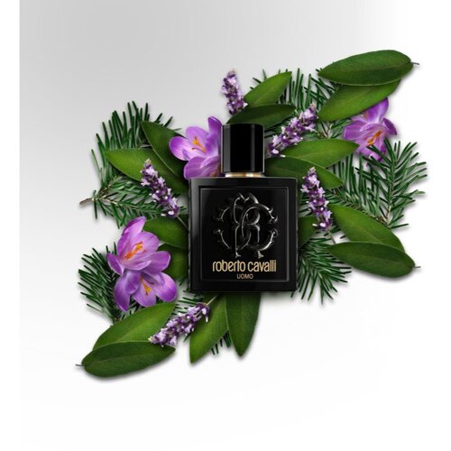 Roberto Cavalli uomo toaletna voda 100 ml za muškarce Cijene