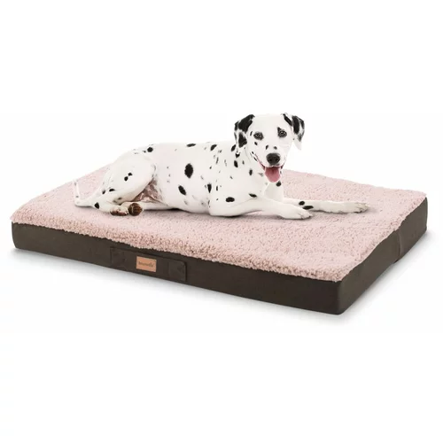 brunolie Balu, pasja postelja, blazina za psa, pralna, ortopedska, protizdrsna, zračna spominska pena, velikost XL (120 × 10 × 72 cm)