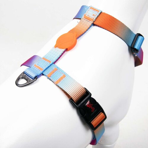 Paws & Whiskers Pass Multicolor Pasja Ogrlica Cene