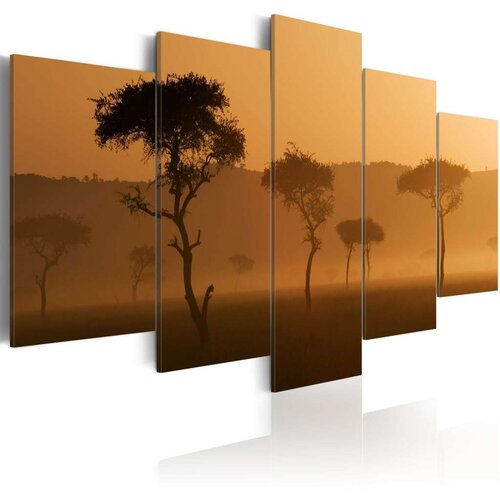  Slika - Fog over a savannah 100x50 Slike