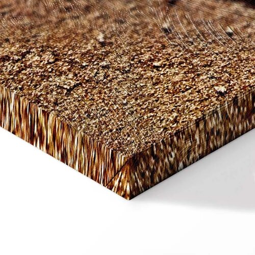  Slika - Feather on the Sand (1 Part) Vertical 40x60 Slike