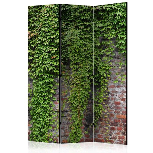  Paravan u 3 dijela - Brick and ivy [Room Dividers] 135x172 Slike