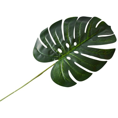  Rezano cvijeće grana Monstera tamno zelena 61 cm Cijene