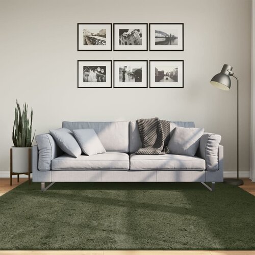 vidaXL Preproga s kratkimi vlakni mehka pralna gozdno zelena 200x200cm Cene