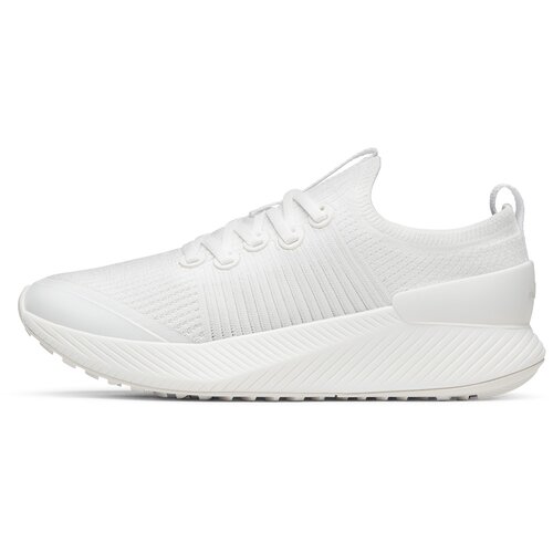Allbirds Tree Glider patike Cene