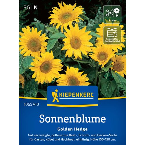 KIEPENKERL Sončnica "Golden Hedge" - 1 pkt. Cene