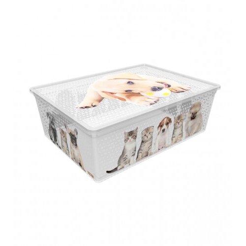 QUTU Kutija za odlaganje 37x52,5x17,5cm 25l CATS AND DOGS Cijene