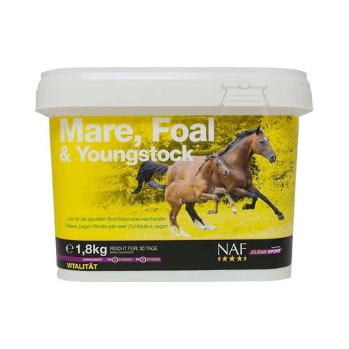  Mare, Foal & Youngstock, prah Cene