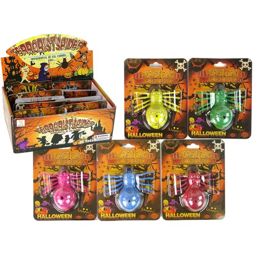  Growing In Water Worm Spider 7 cm Cene