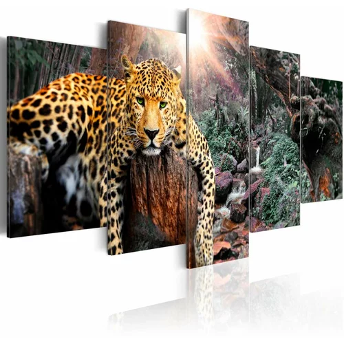  Slika - Leopard Relaxation 100x50