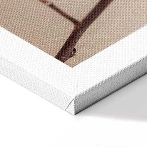  Slika - Softness of Cotton (1 Part) Vertical 80x120 Slike