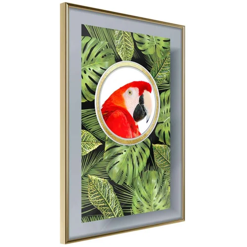  Poster - Parrot Says Hi 30x45