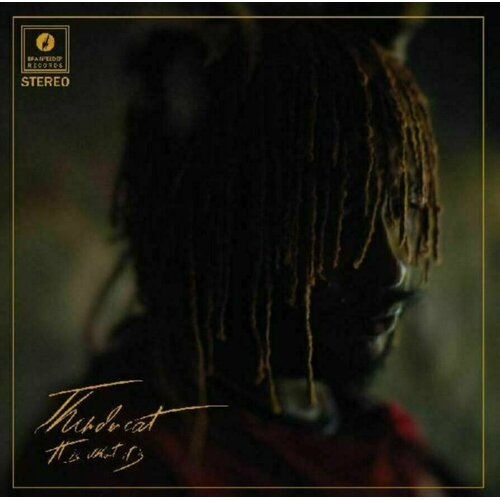 Thundercat IT IS WHAT IT IS Cene