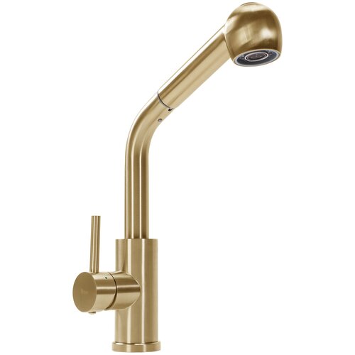 Rea Kuhinjski me&amp;scaron;alnik Troy Brush gold Slike